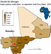 carte Mali densité des élevages de gros bétail