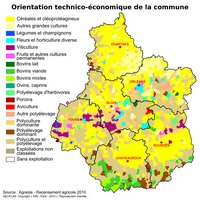 carte Centre orientation technico-économique par commune