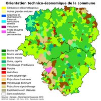 Carte du Limousin avec l'orientation technico-économique selon les communes