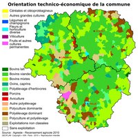 carte Limousin orientation technico-économique selon les communes