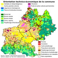 Carte des Midi-Pyrénées avec l'orientation technico-économique par commune