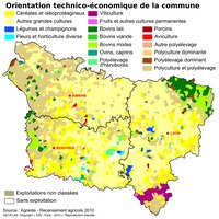 Carte de la Picardie avec l'orientation technico-économique des communes