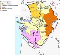 Carte du Poitou-Charentes avec les dominantes agricoles